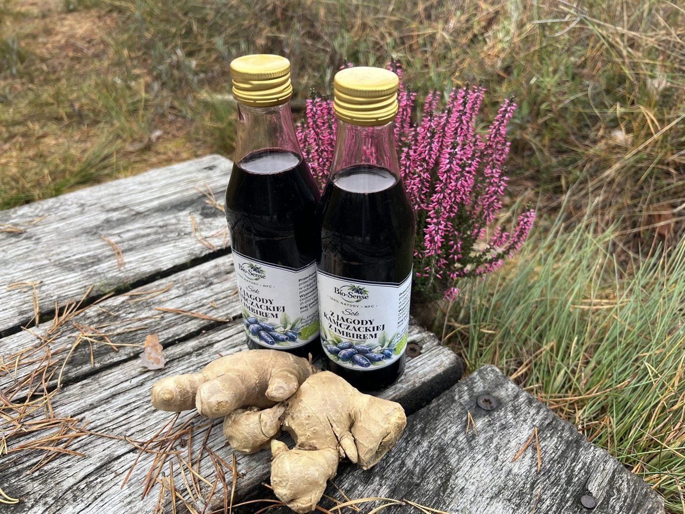 Soki Bio-Sense z jagody kamczackiej, naturalny i z imbirem
