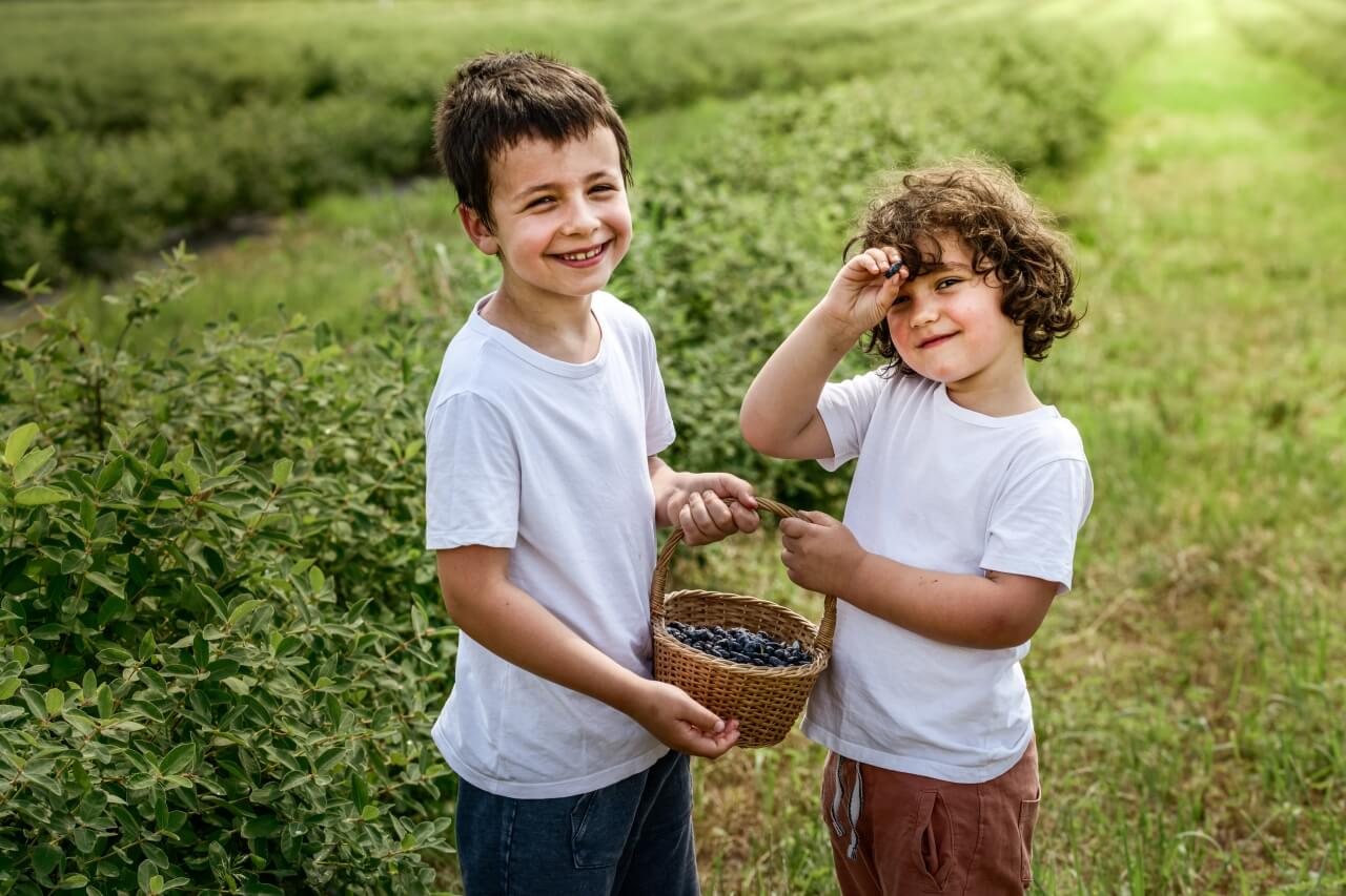 Dzieci z koszykiem świeżo zebranych owoców na plantacji